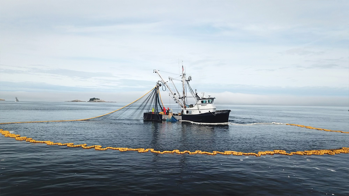 Adventurous Feature Fishing Vessel Adventurous