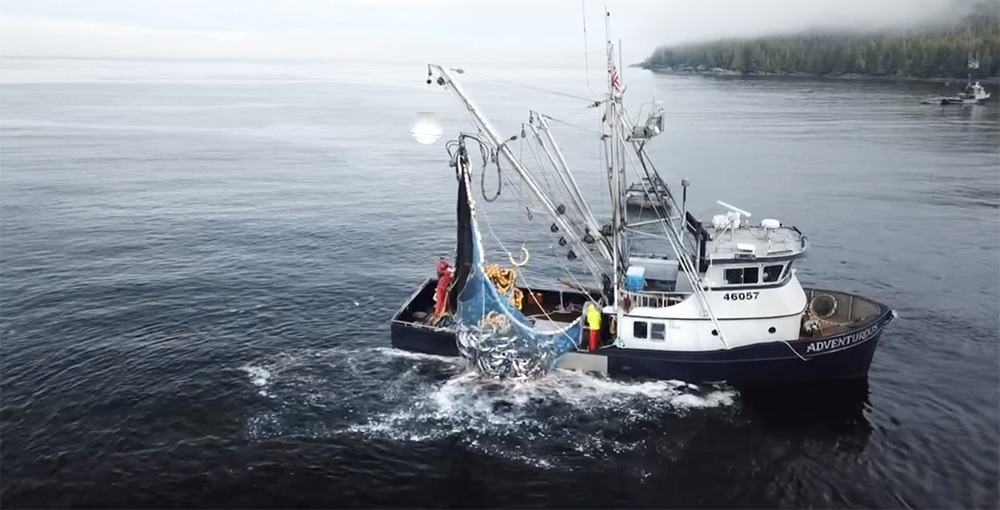 Adventurous Salmon Seining Adventurous Salmon Seining