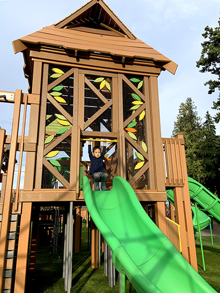 Dream Playground Open Dream Playground Open
