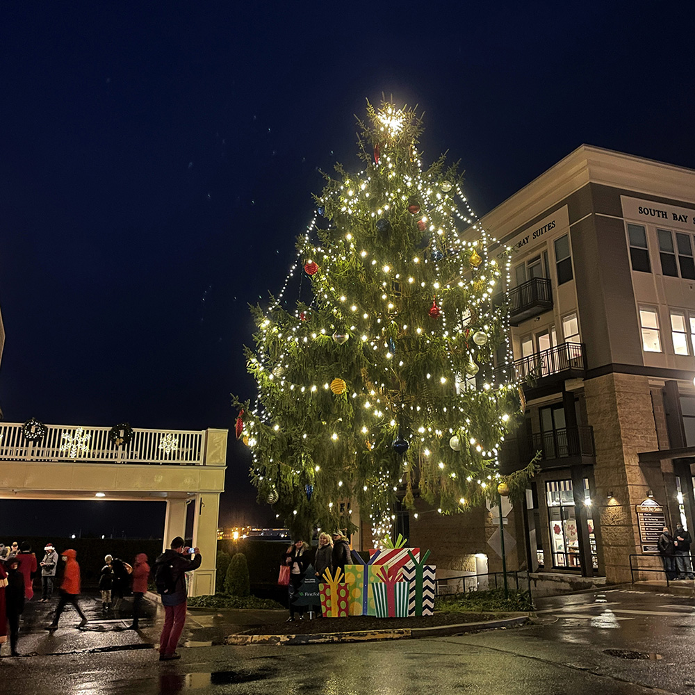 First Fed Fairhaven Tree Lighting First Fed Fairhaven Tree Lighting